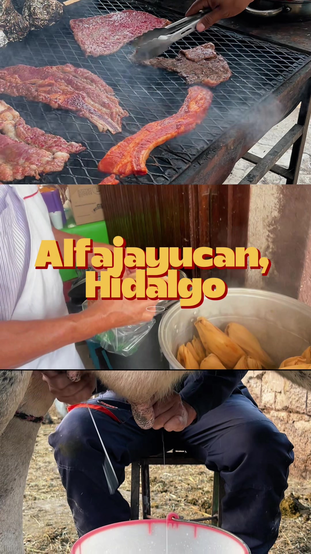@Martín Alonso