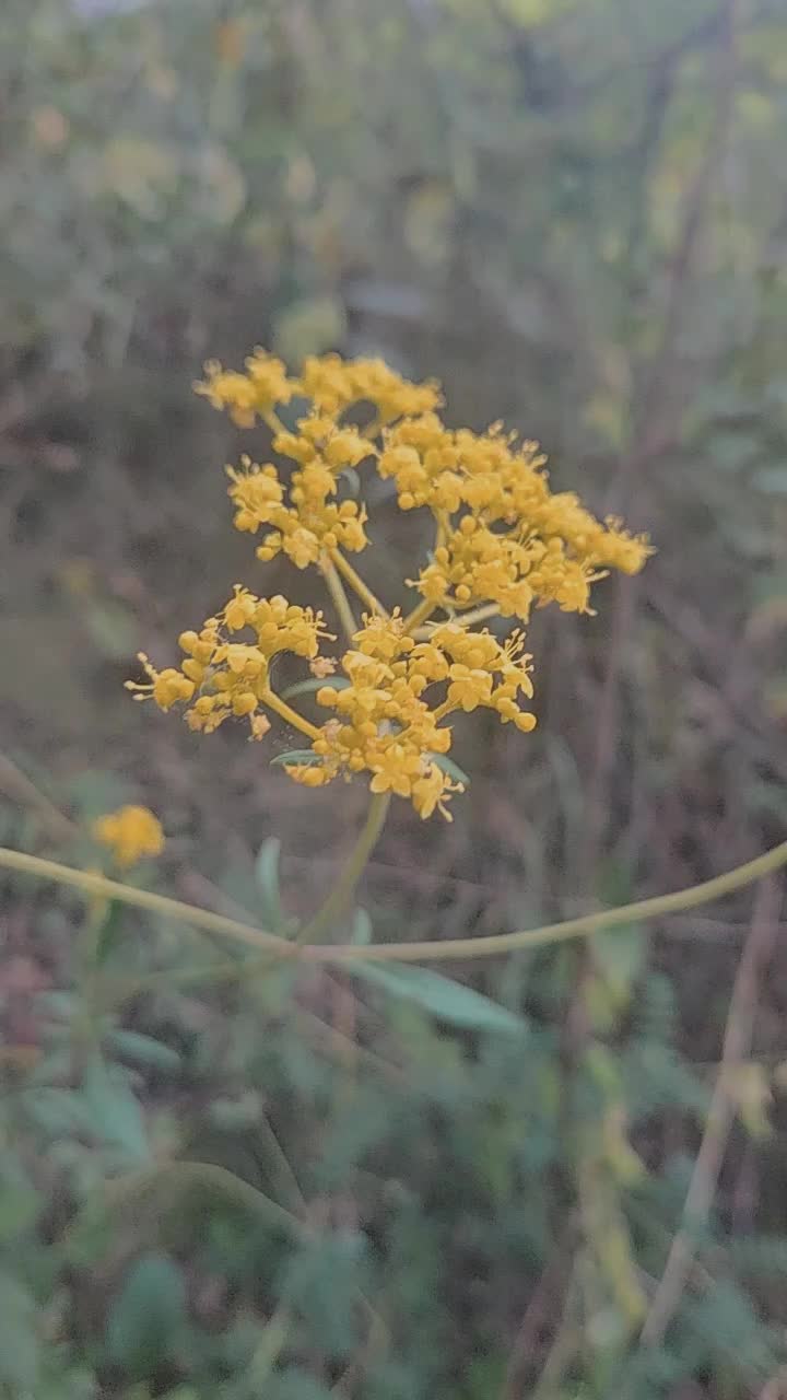 @법무사