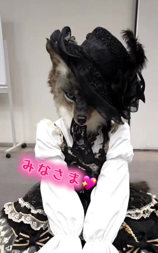 @furryfenrirxoxo