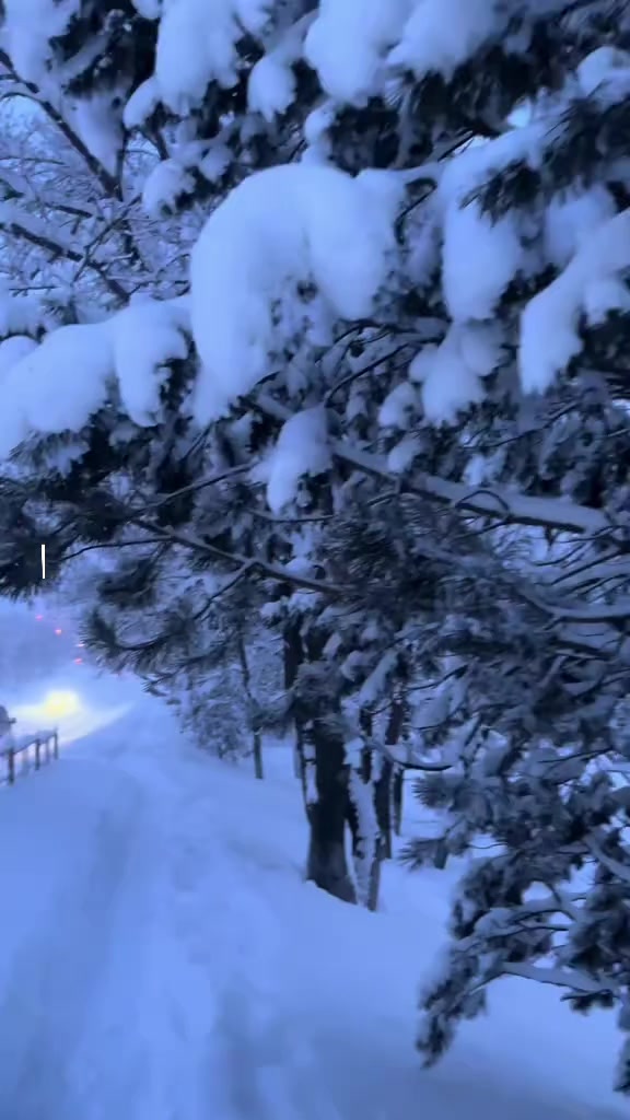 @❄️winter⛷️