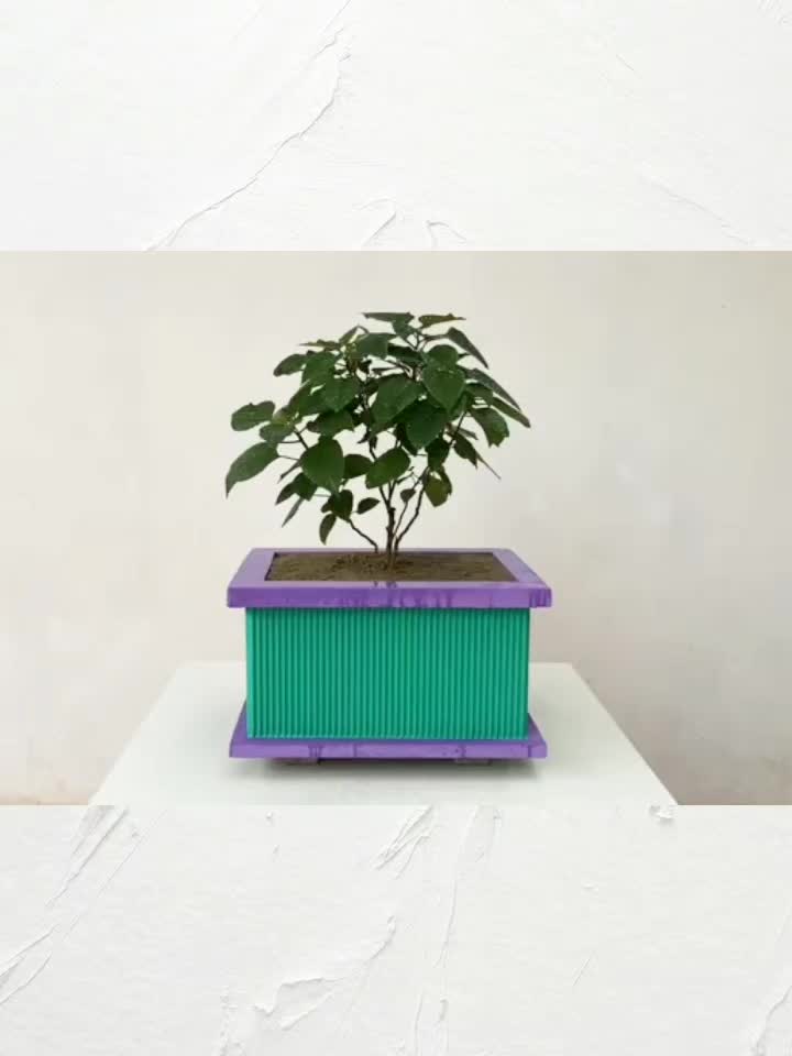 @art