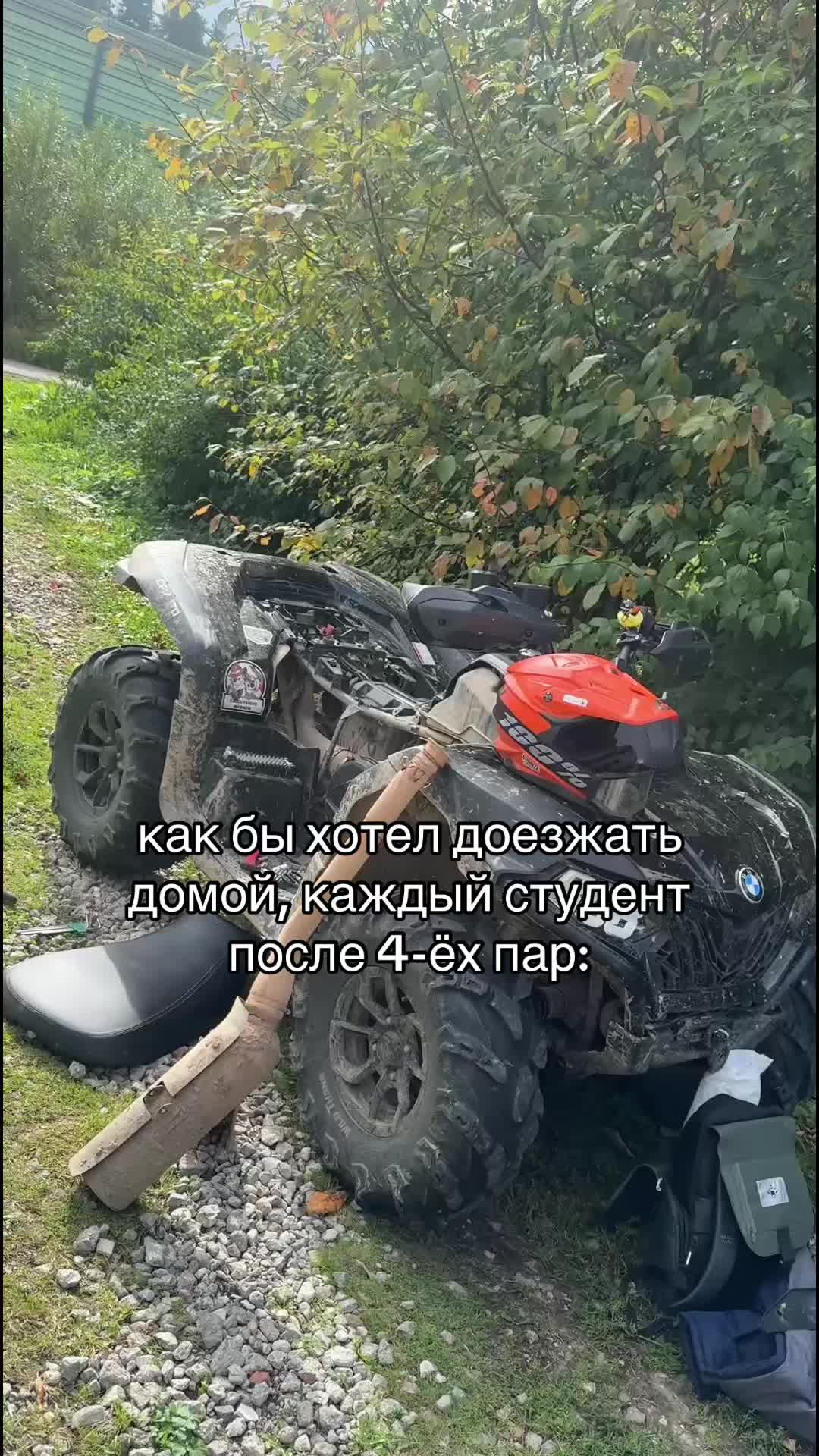 @656_TEAM