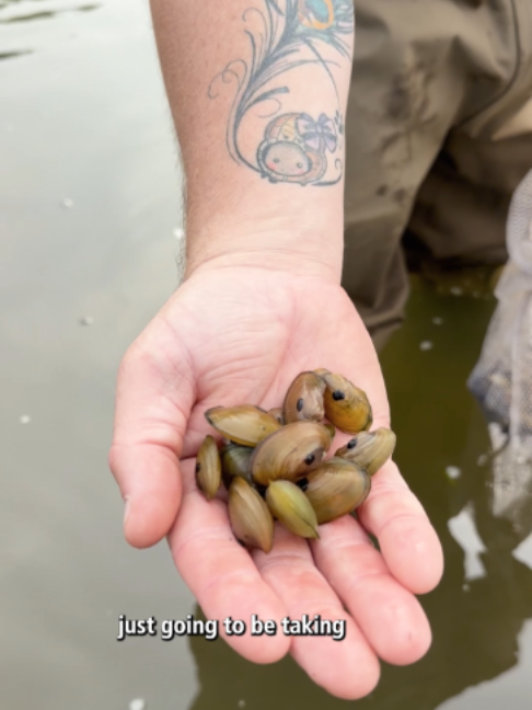 @DuPage County Forest Preserve