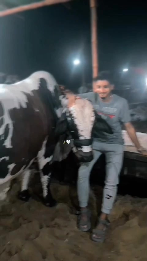 @shamoo🥰🥰🥰