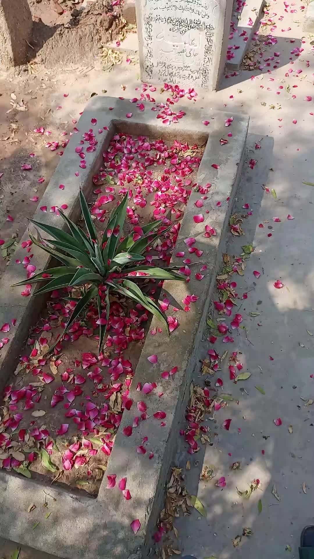 @Qureshi Baba