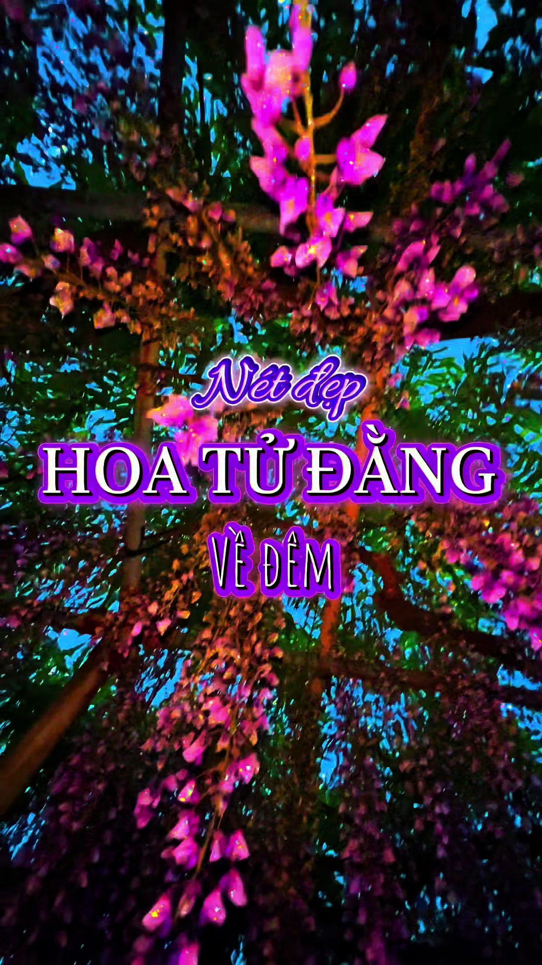 @nguyen thequan