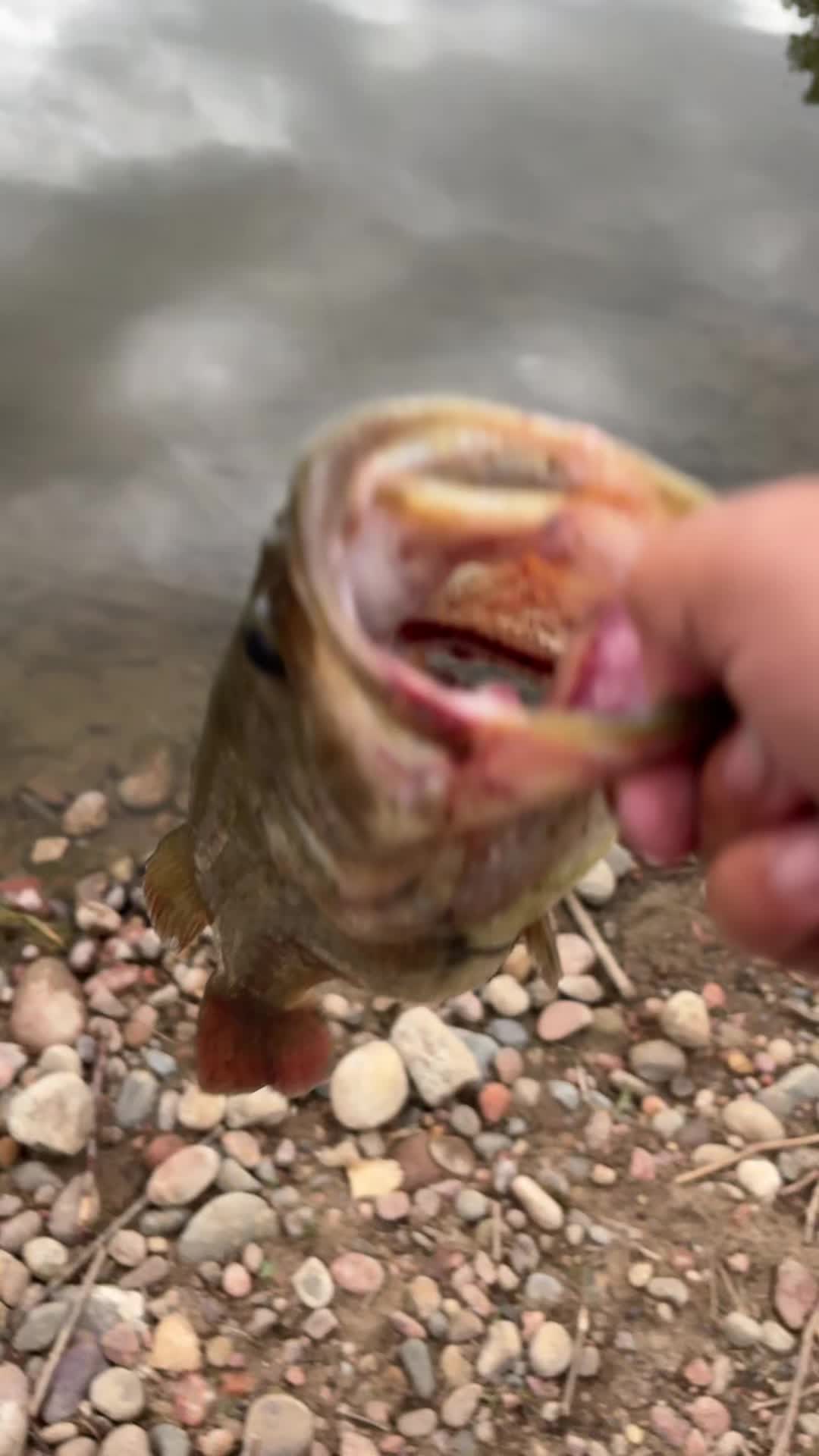 @ 