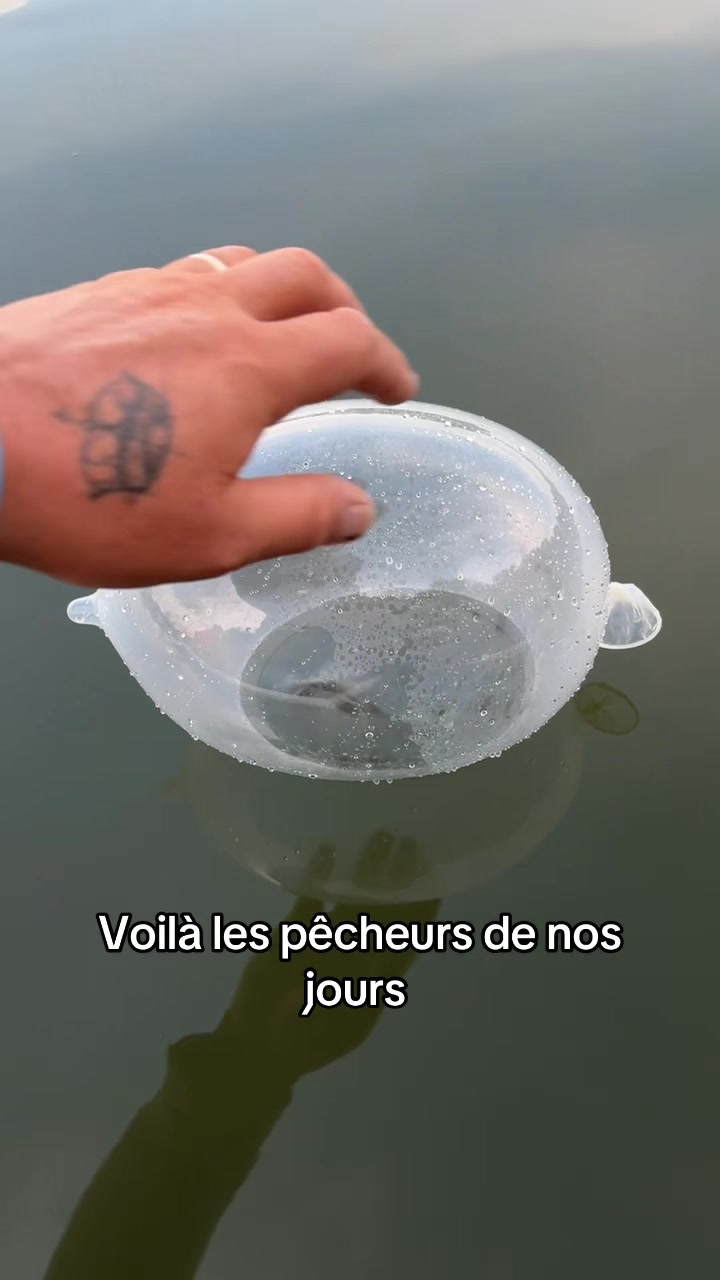 @Grosse tête du LBX