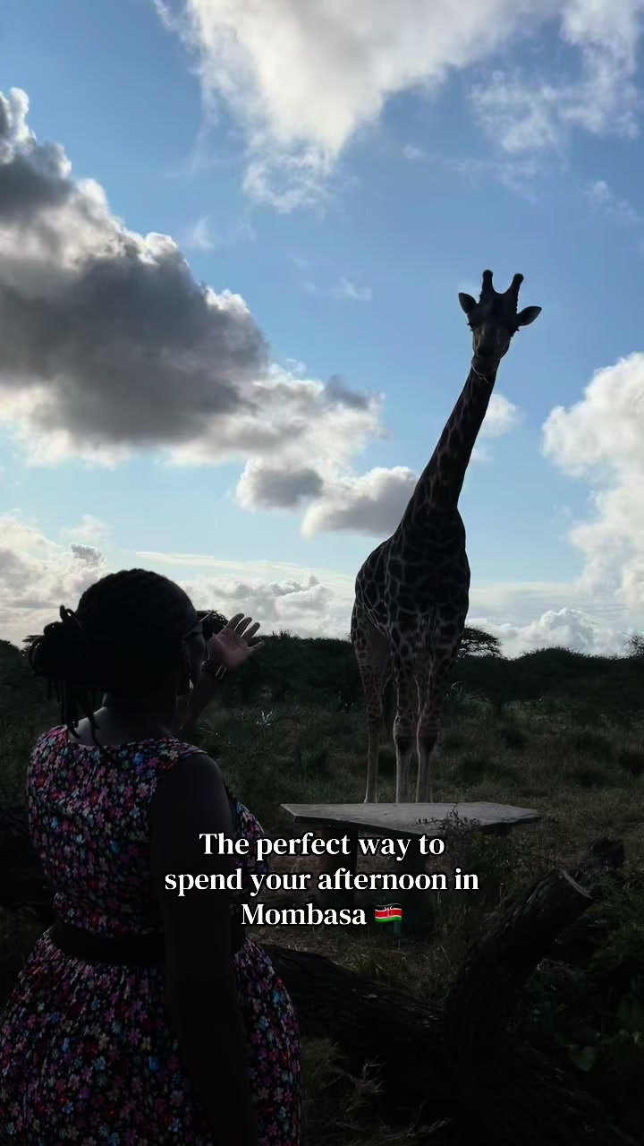 @Adventures By Queen