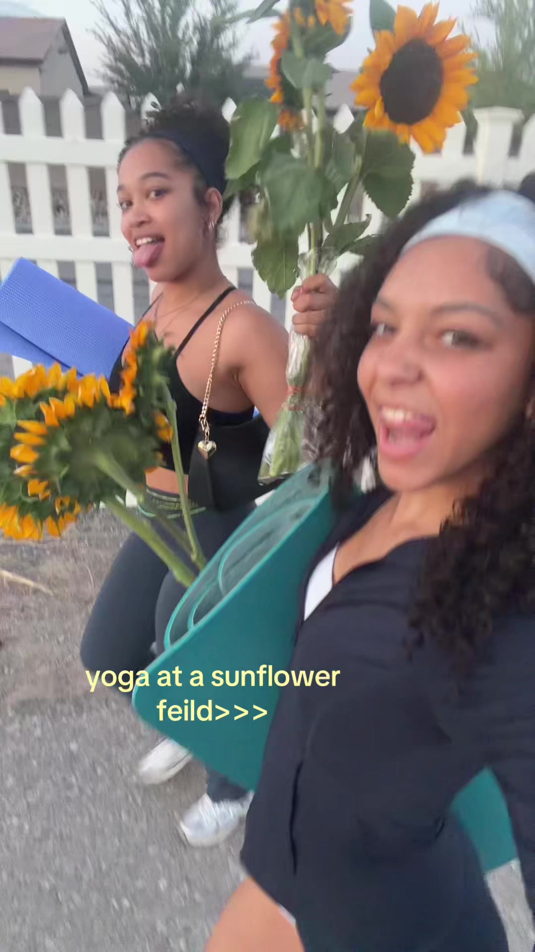 @Kamea