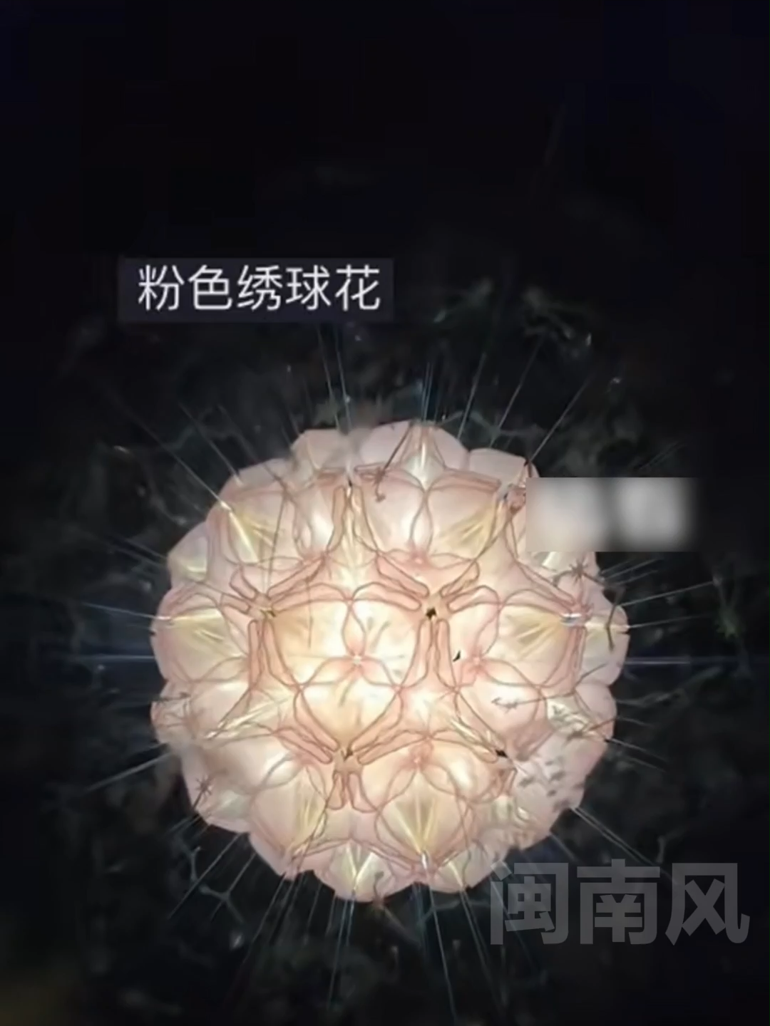 @闽南风～