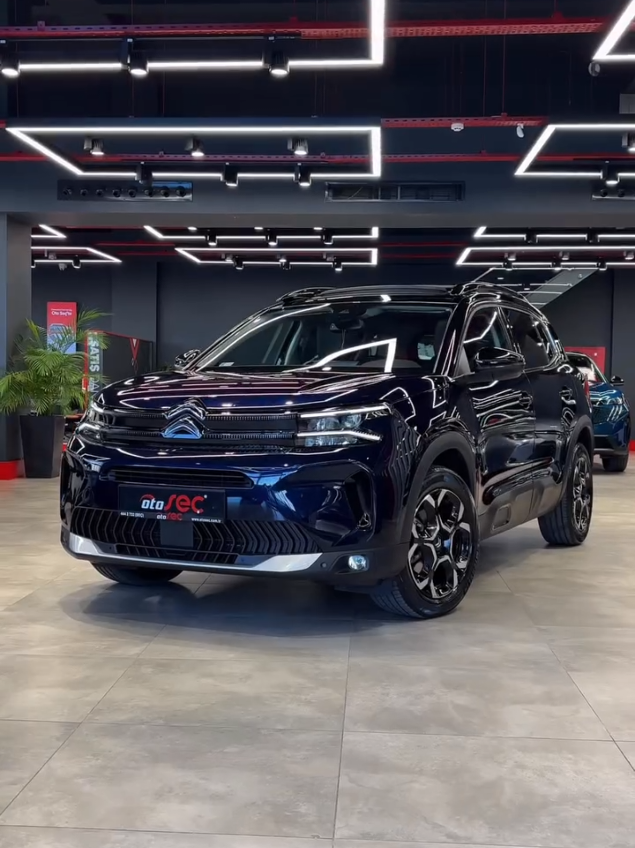 @Kia Peugeot Toyota