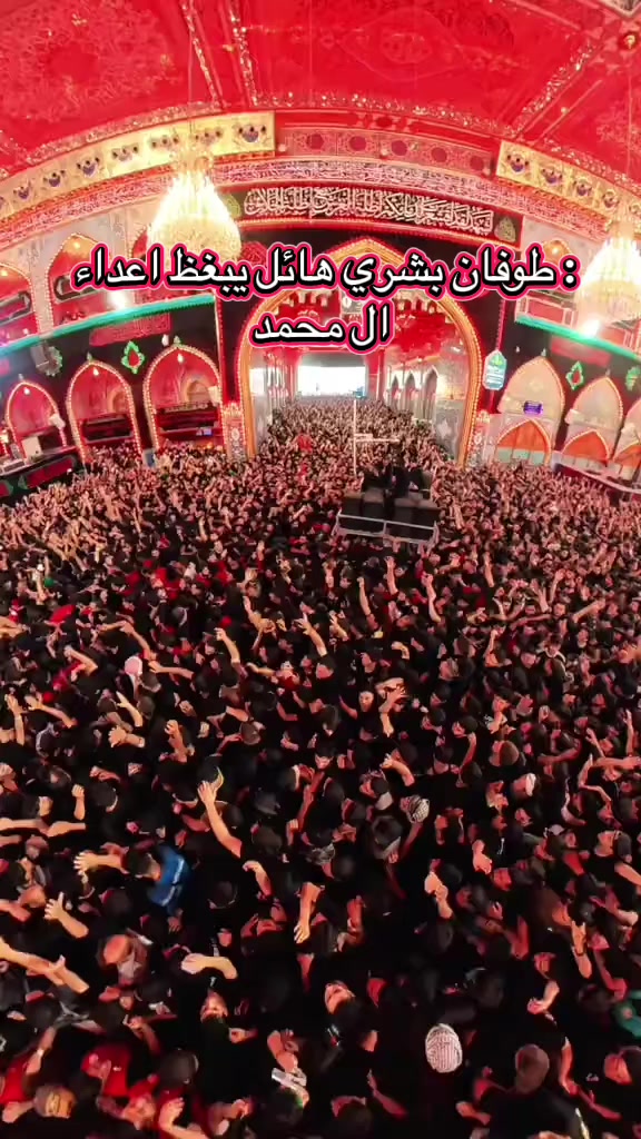 @أحمد أبو علي