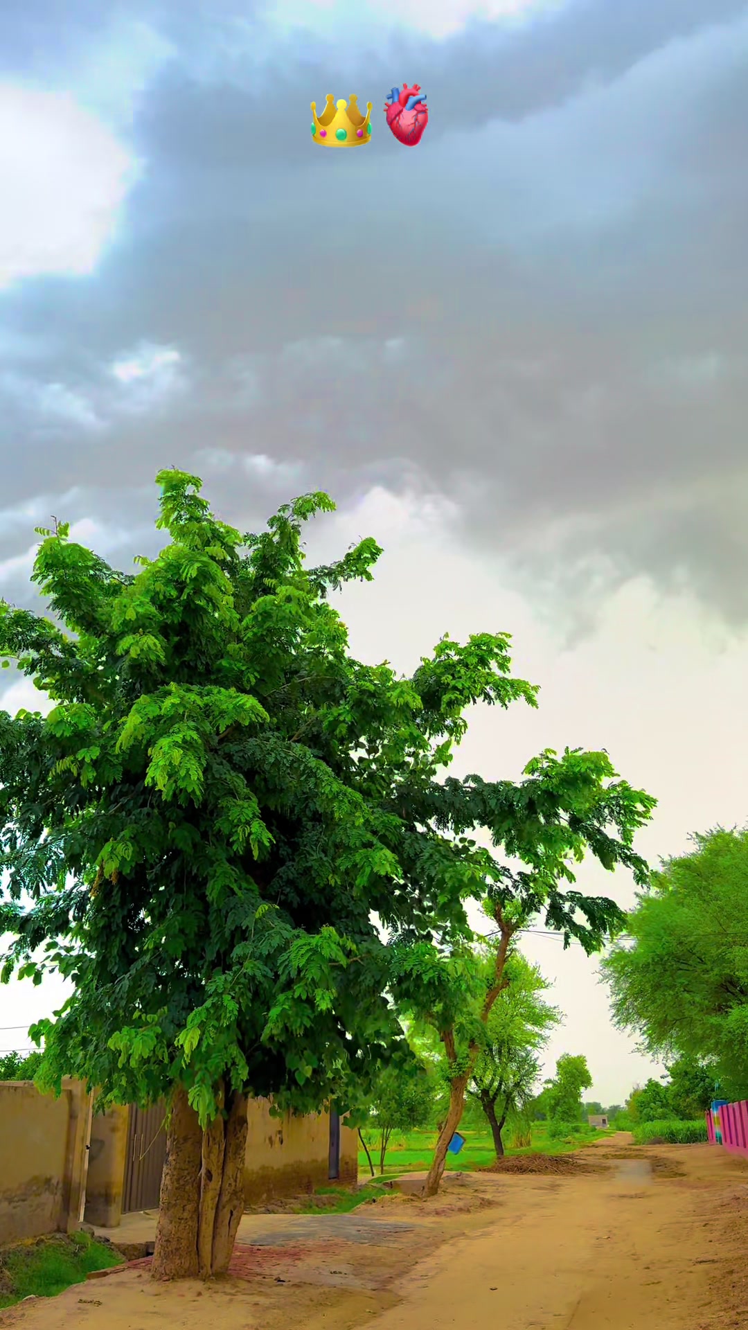 @پنجابی کلچر 🌾🍂