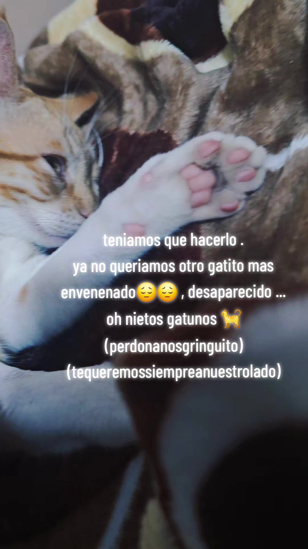 @☞&bull;:&hearts; Tatiana&hearts;️