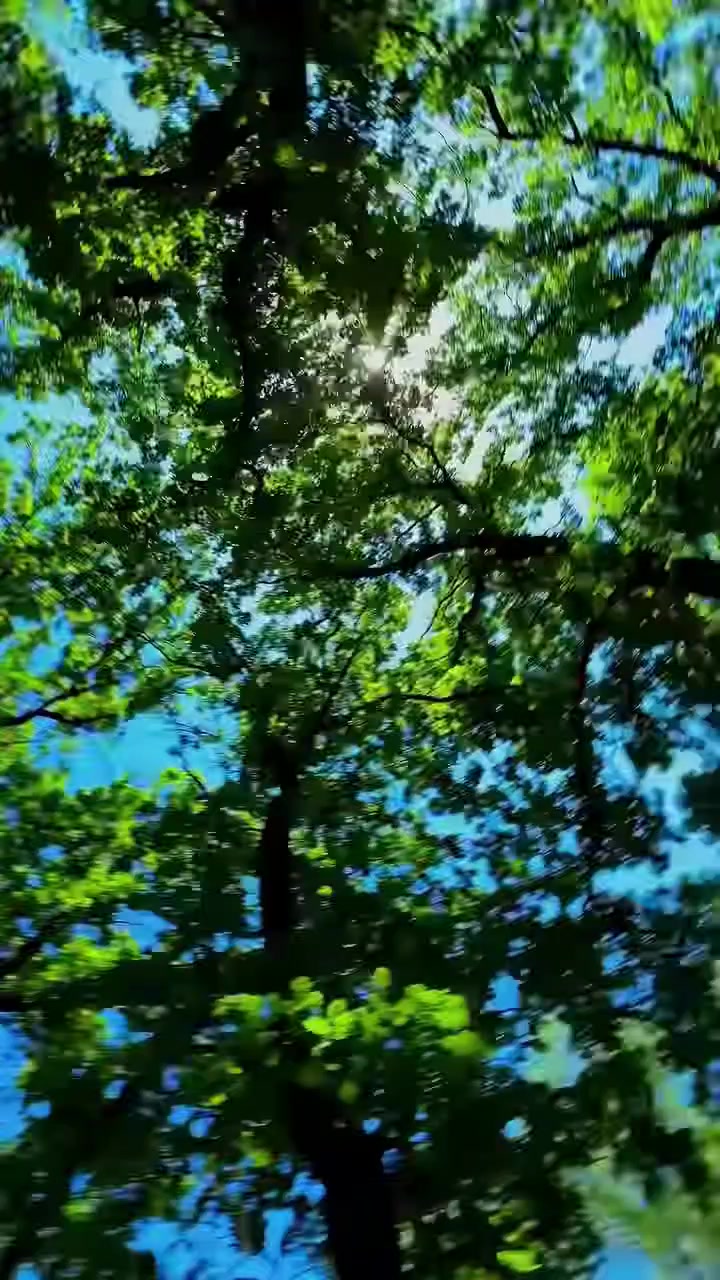@______⁹⁵❤️❤️