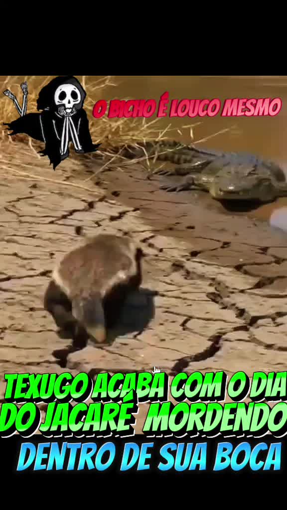 @AQUI VOCÊ VÊ
