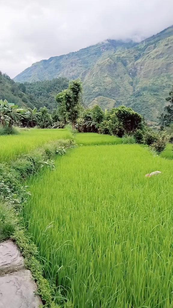 @Devi Khatri