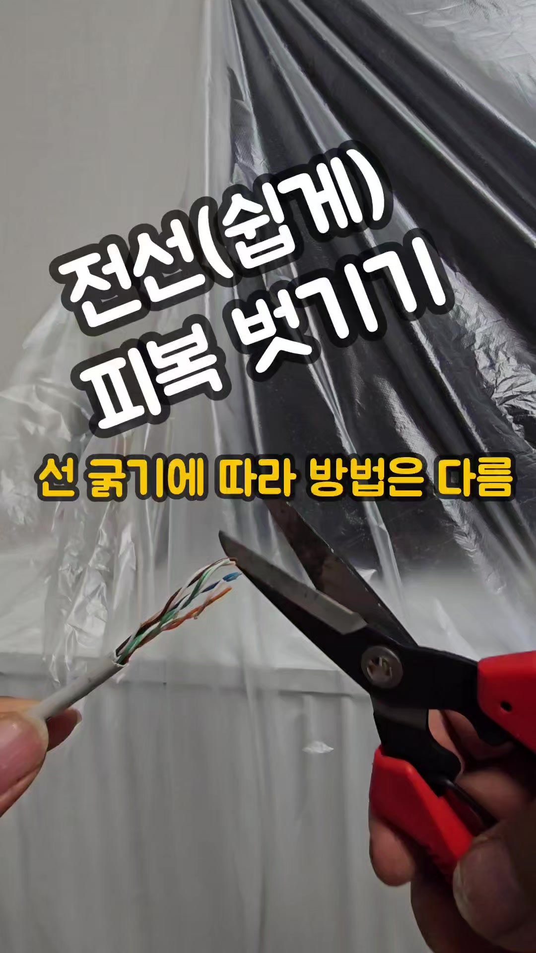 @리리꿀팁모음