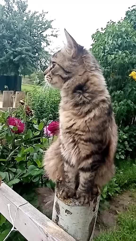 @Olya_1961