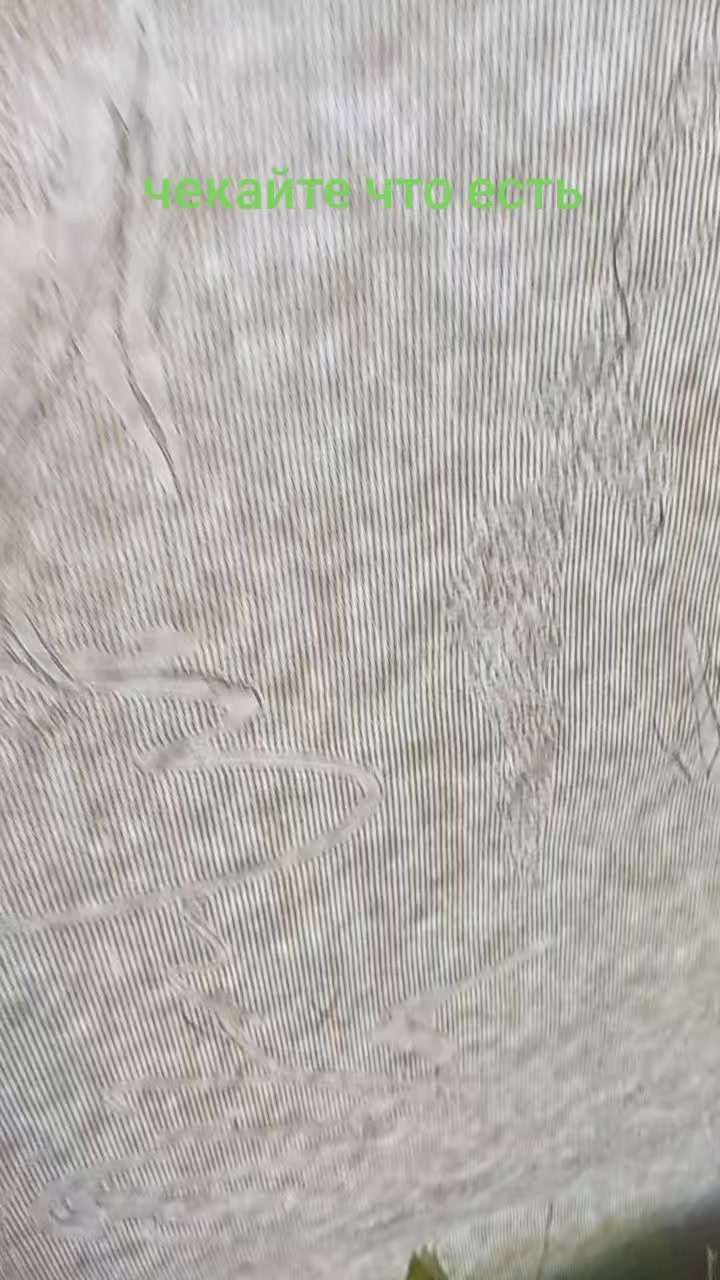 @квад орбітражнік