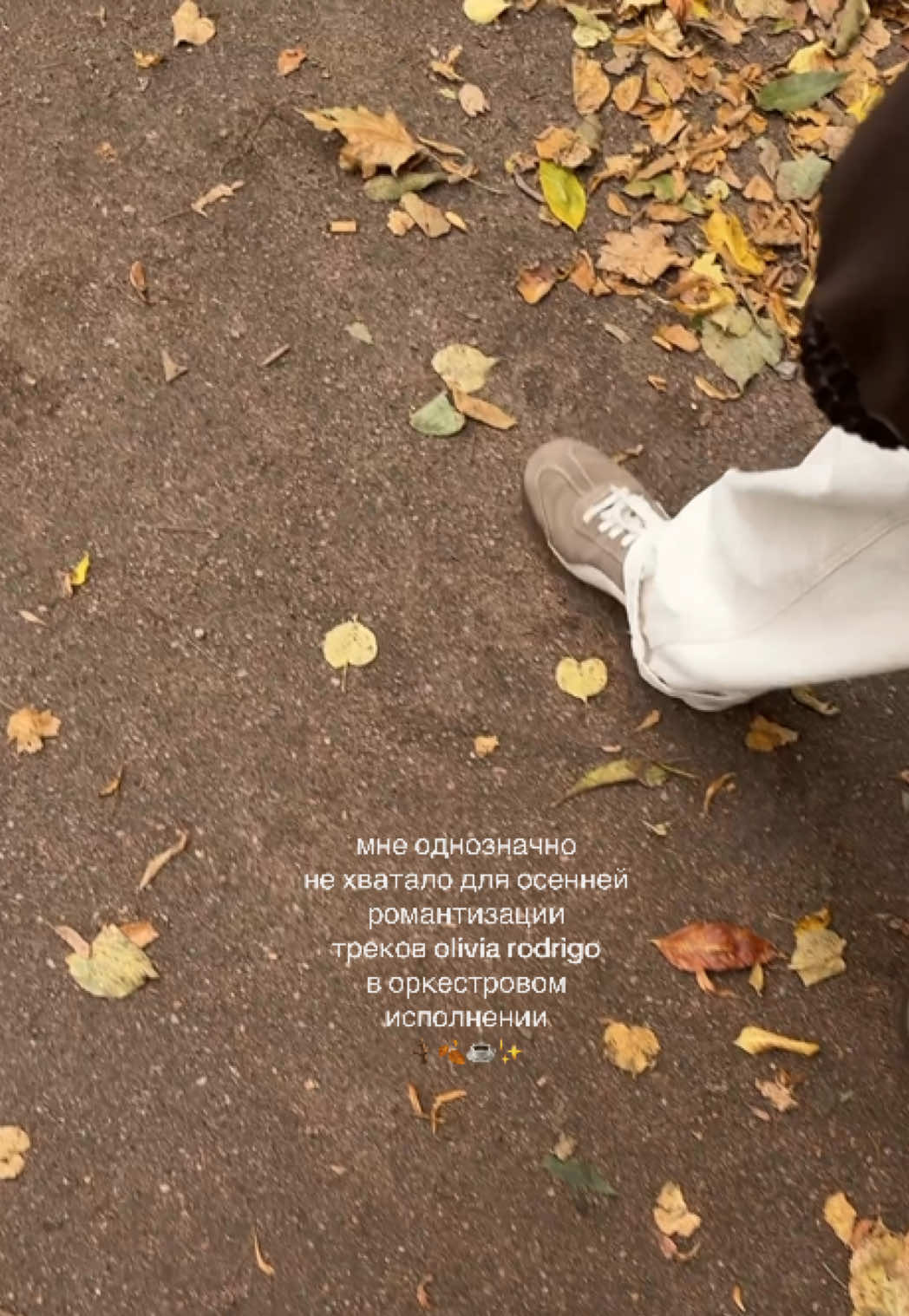 @vikaevt🫧