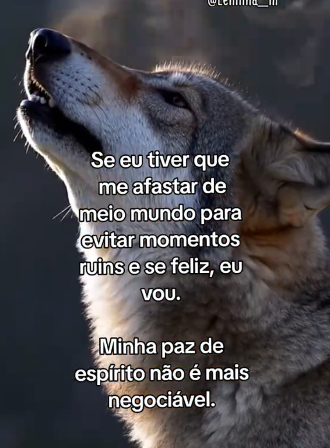 @Leninha___m