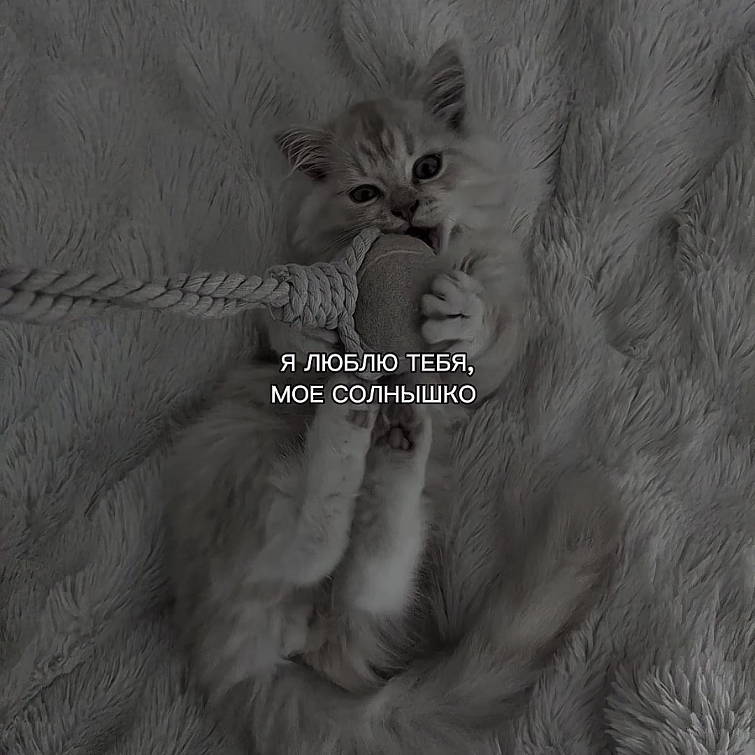 @ХХИКА