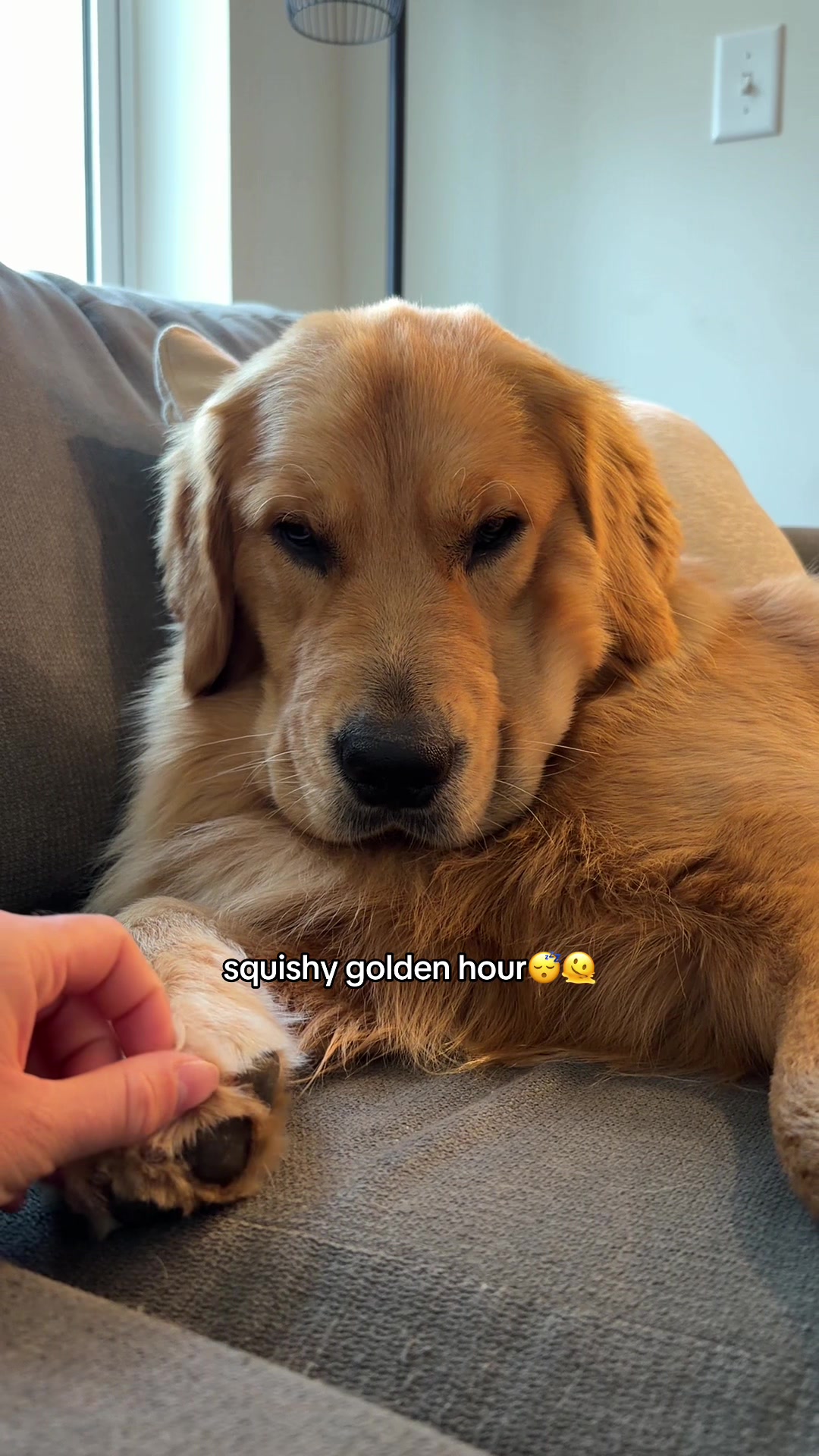 @Teddy🧸