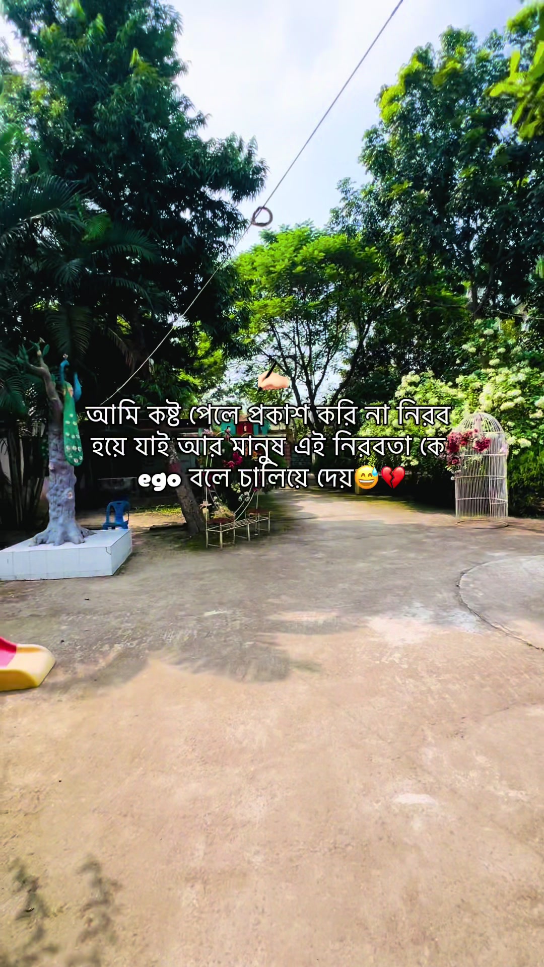 @Raj Ahamed 🖤