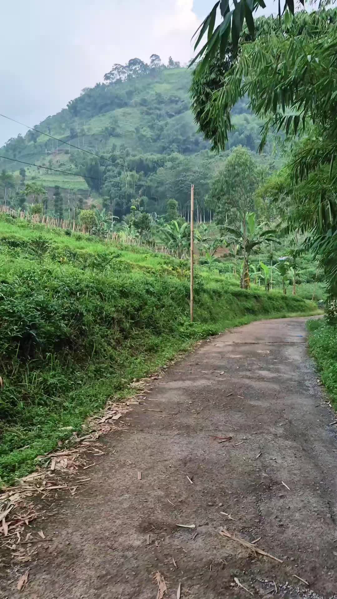 @kang ngablu