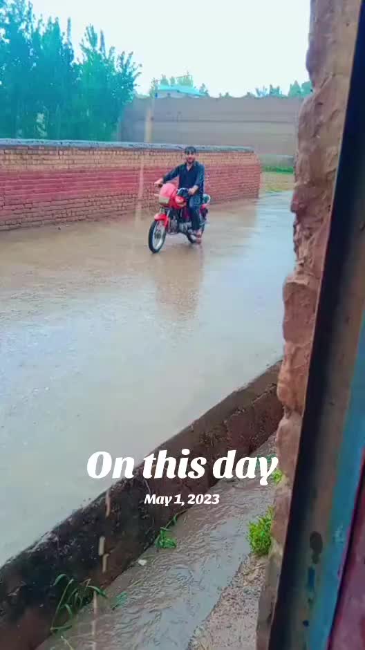@shahab khalil