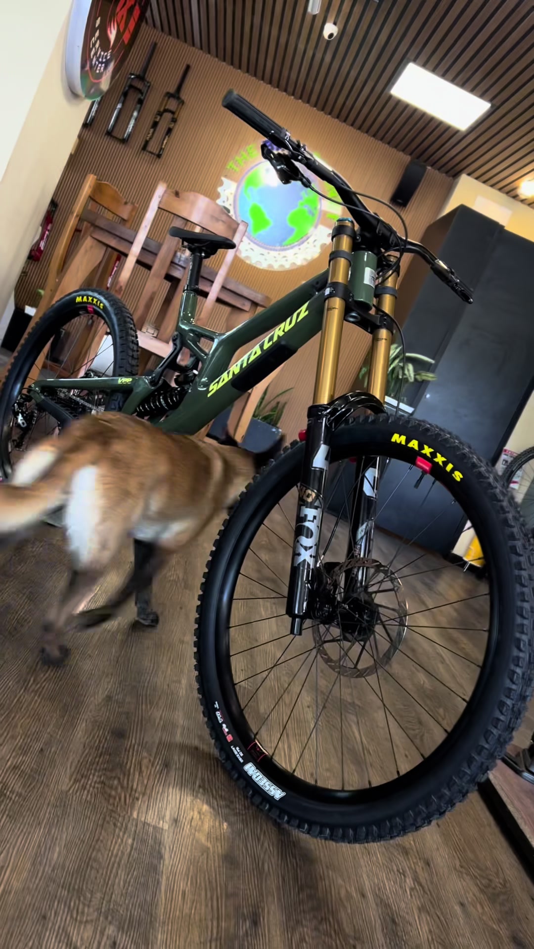 @thebikeplanetone