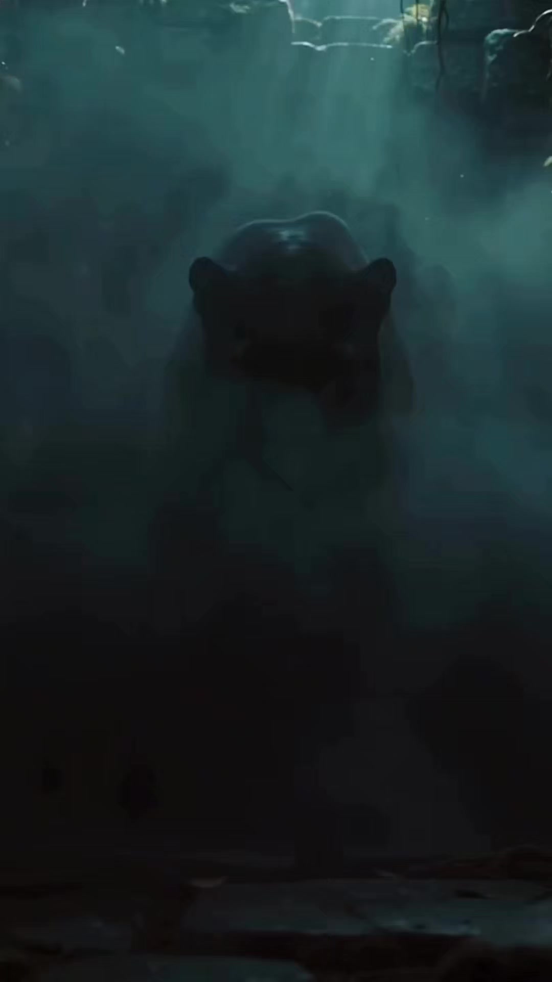 @Waolge7