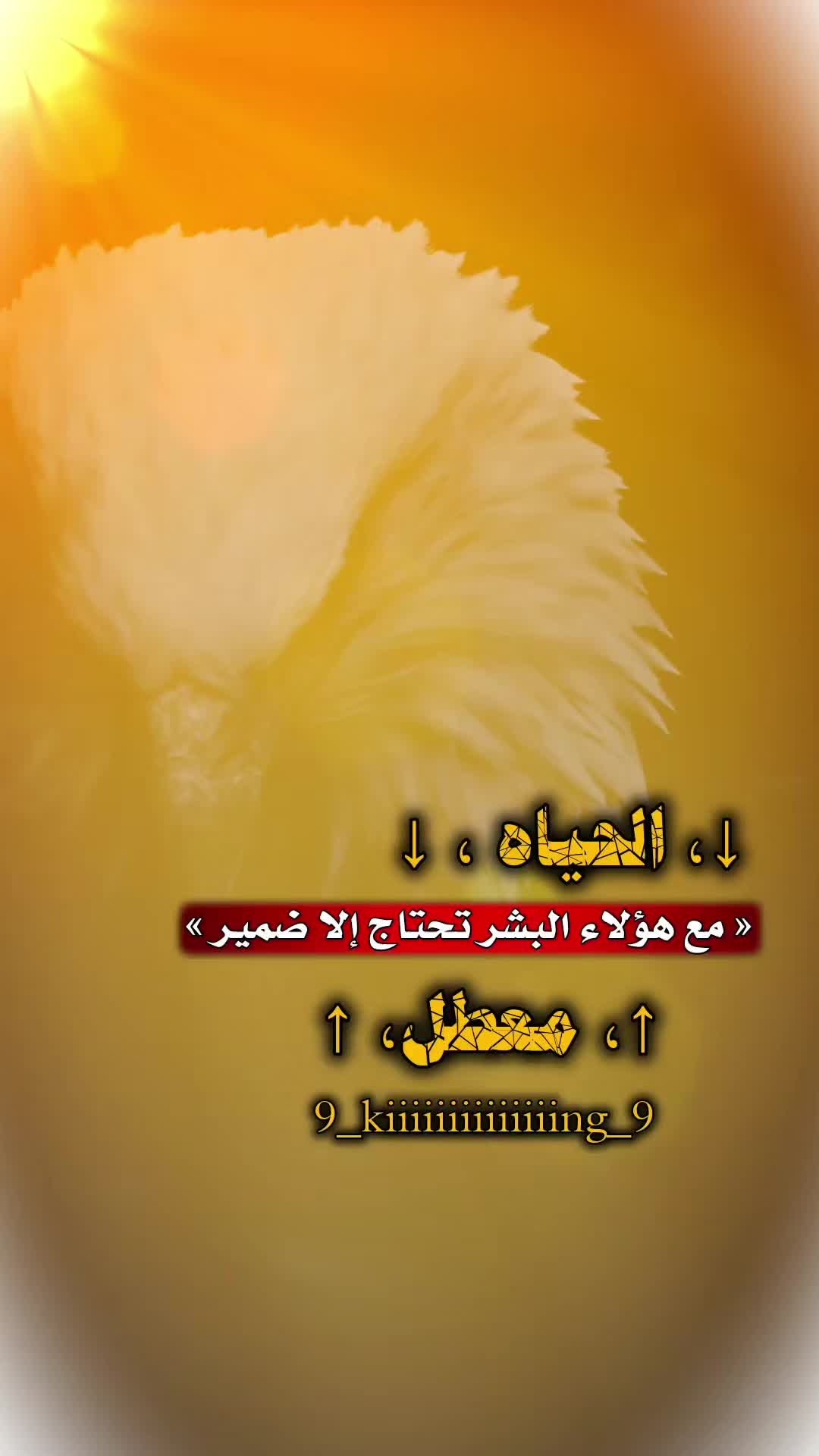 @﮼↵⦅⋮الـ²͢⁰͢³͢⁰͢͢ـملك📮⋮⦆ᯓ