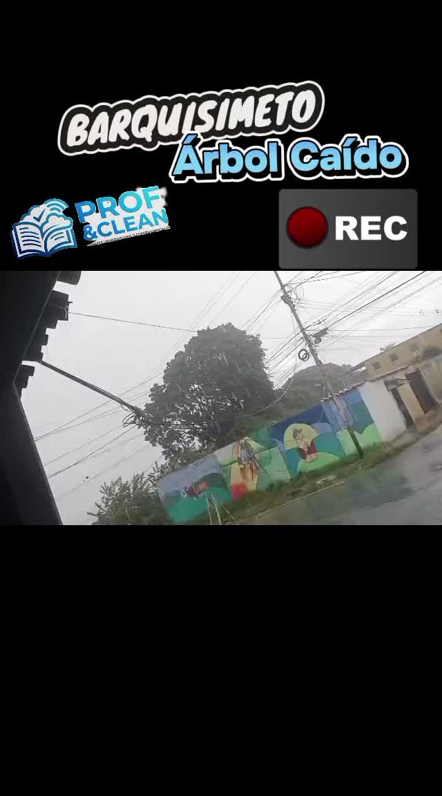 @Prof&Clean Armando Rodríguez