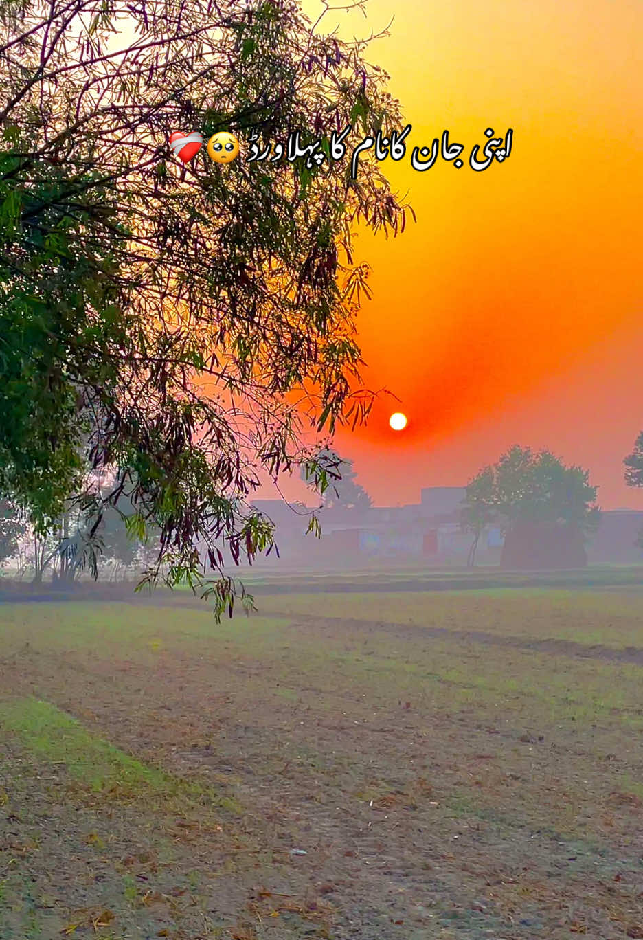 @😎اویس راجپوت🕊️❤️🔥