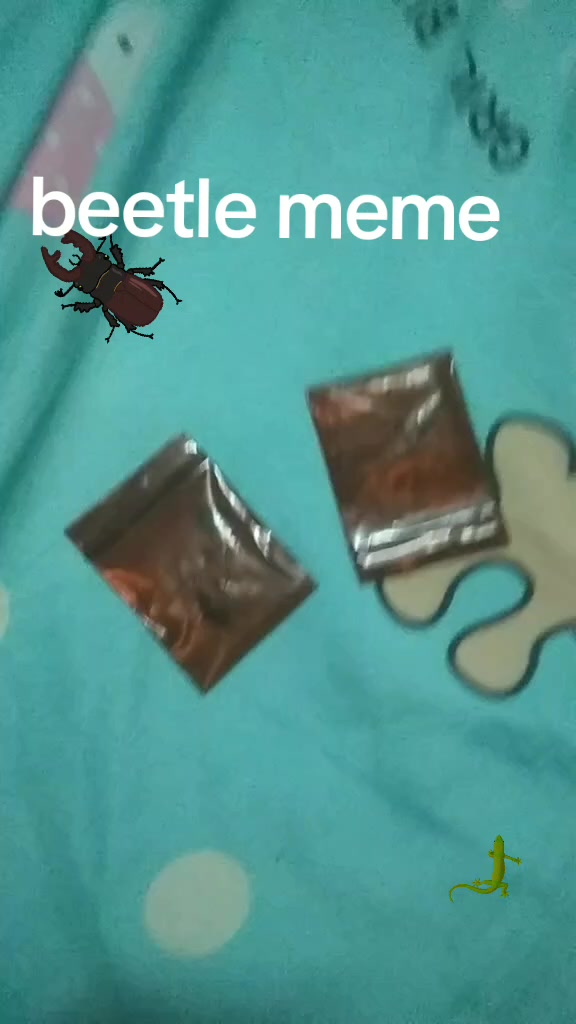 @▀▄▀▄MAXIUok ▄▀▄▀