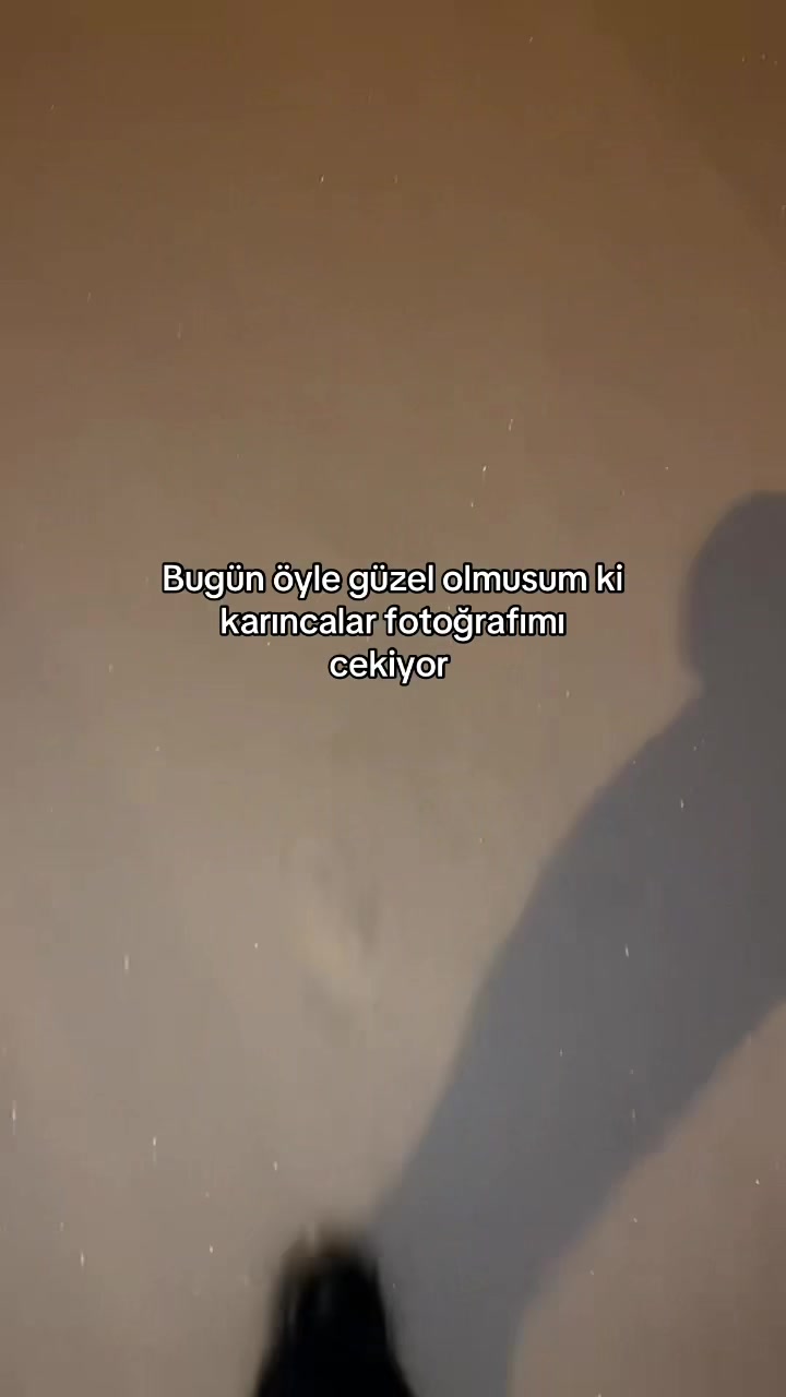 @aynue🐦🔥