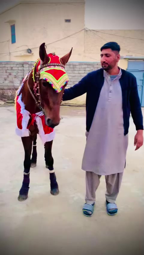 @Ahsan khan 123