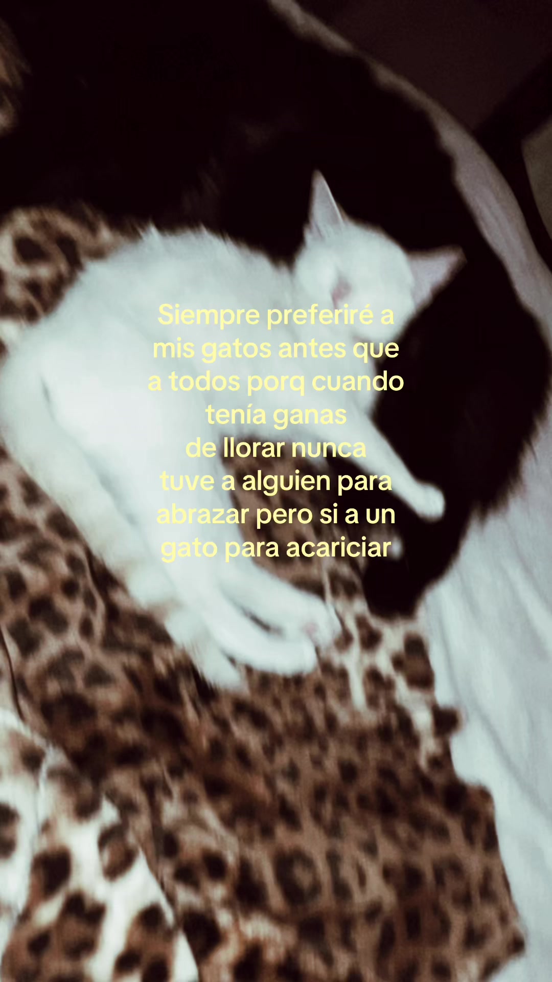 @𐚁