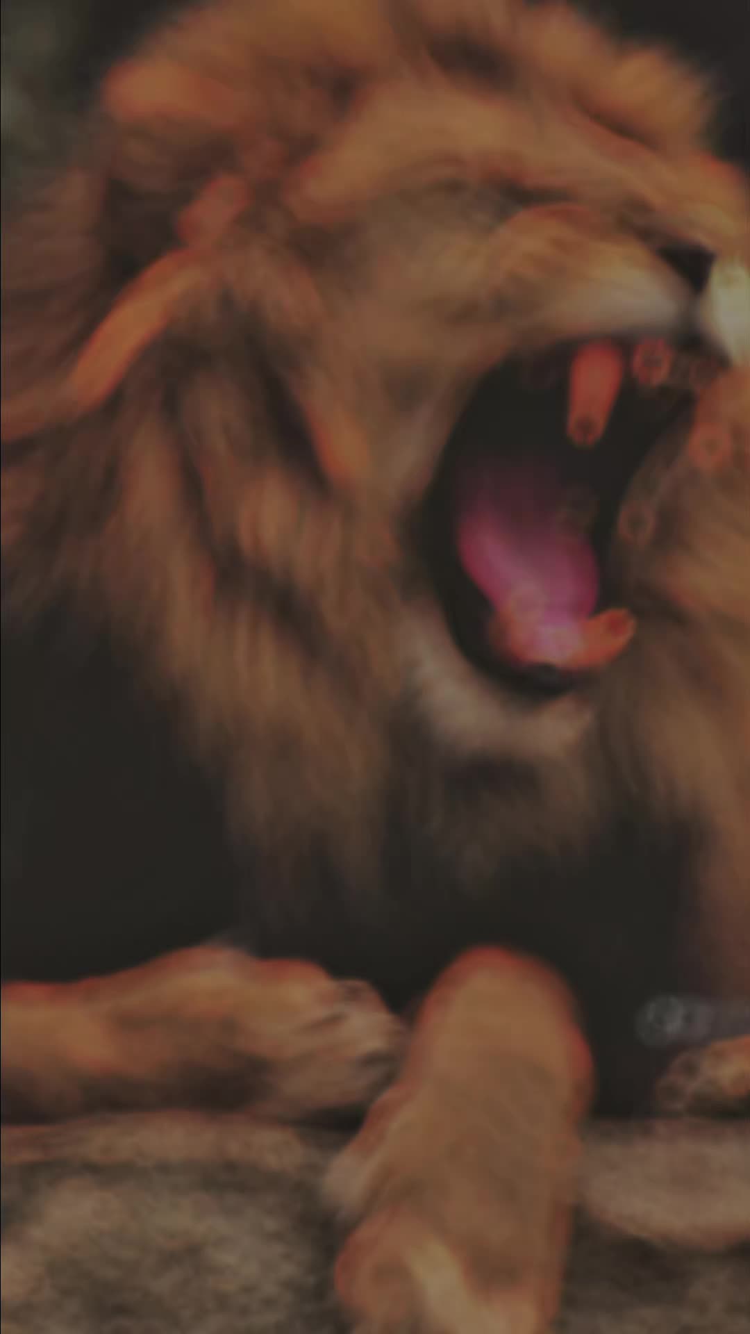 @๐ุงุญู๐ูู
ุฏ๐ชซ๐ซต๐งฟ