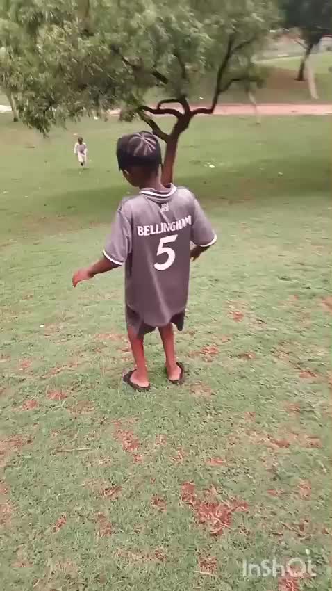 @richvusi03