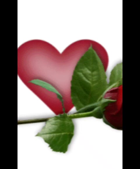 @Ela gözlümm❤️❤️