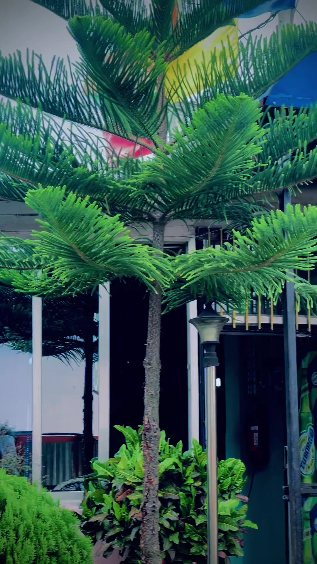 @ ᴆɪᴌ𝓢𝗛𝐀Đ…..?