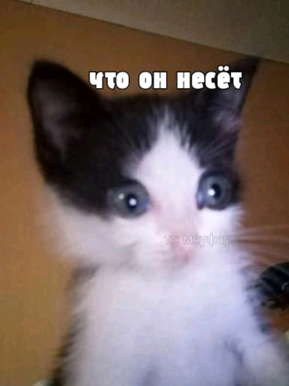 @||евланка^_-