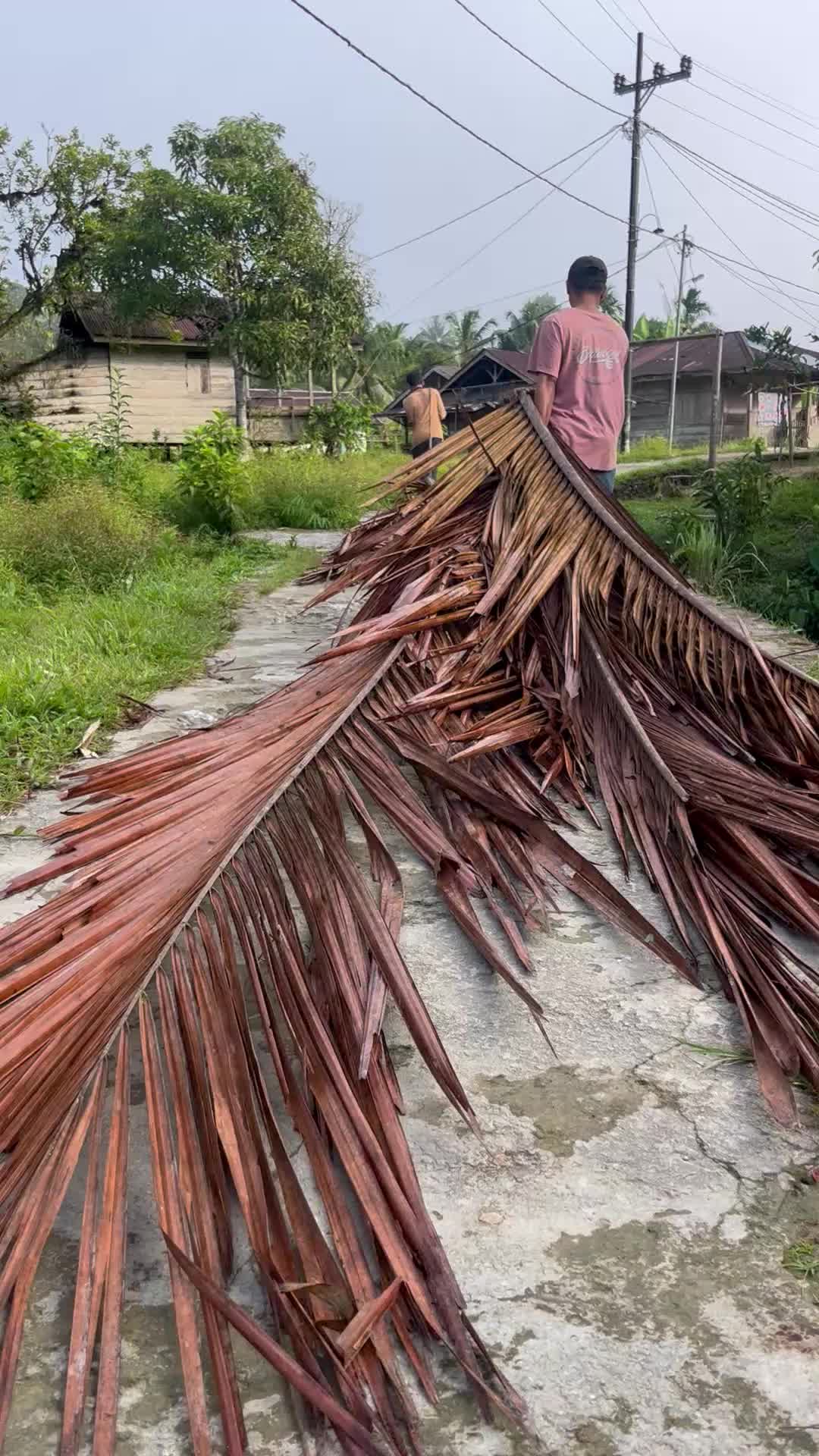 @Uluikunz