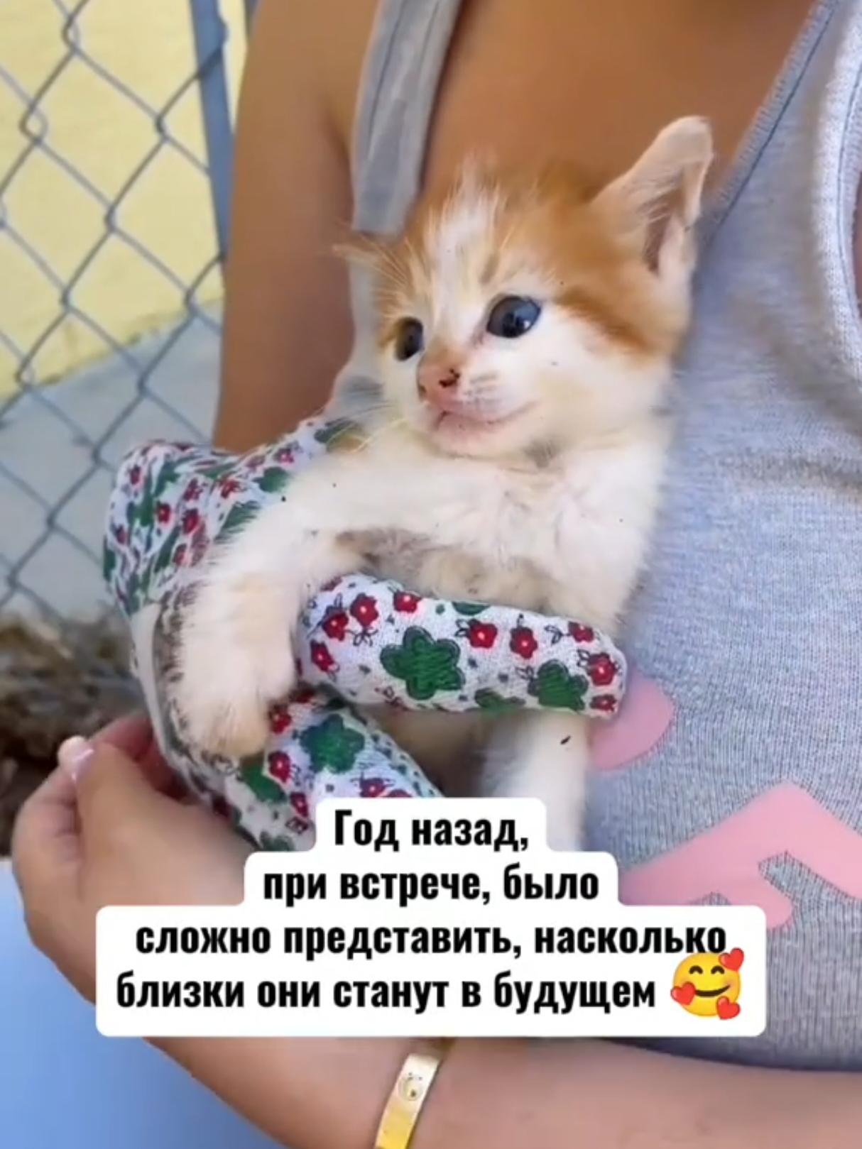 @RescueAnimals Nir