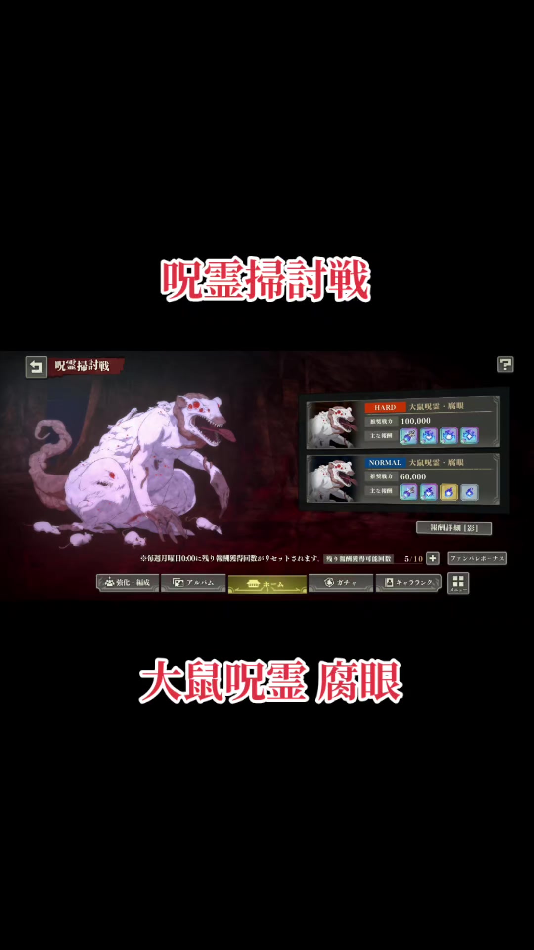 @猫
