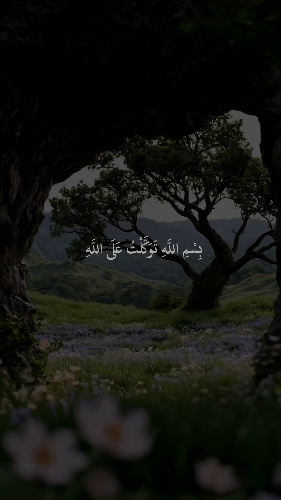 @❀ مُــسلم || 𝐌𝐔𝐒𝐋𝐈𝐌 ❀